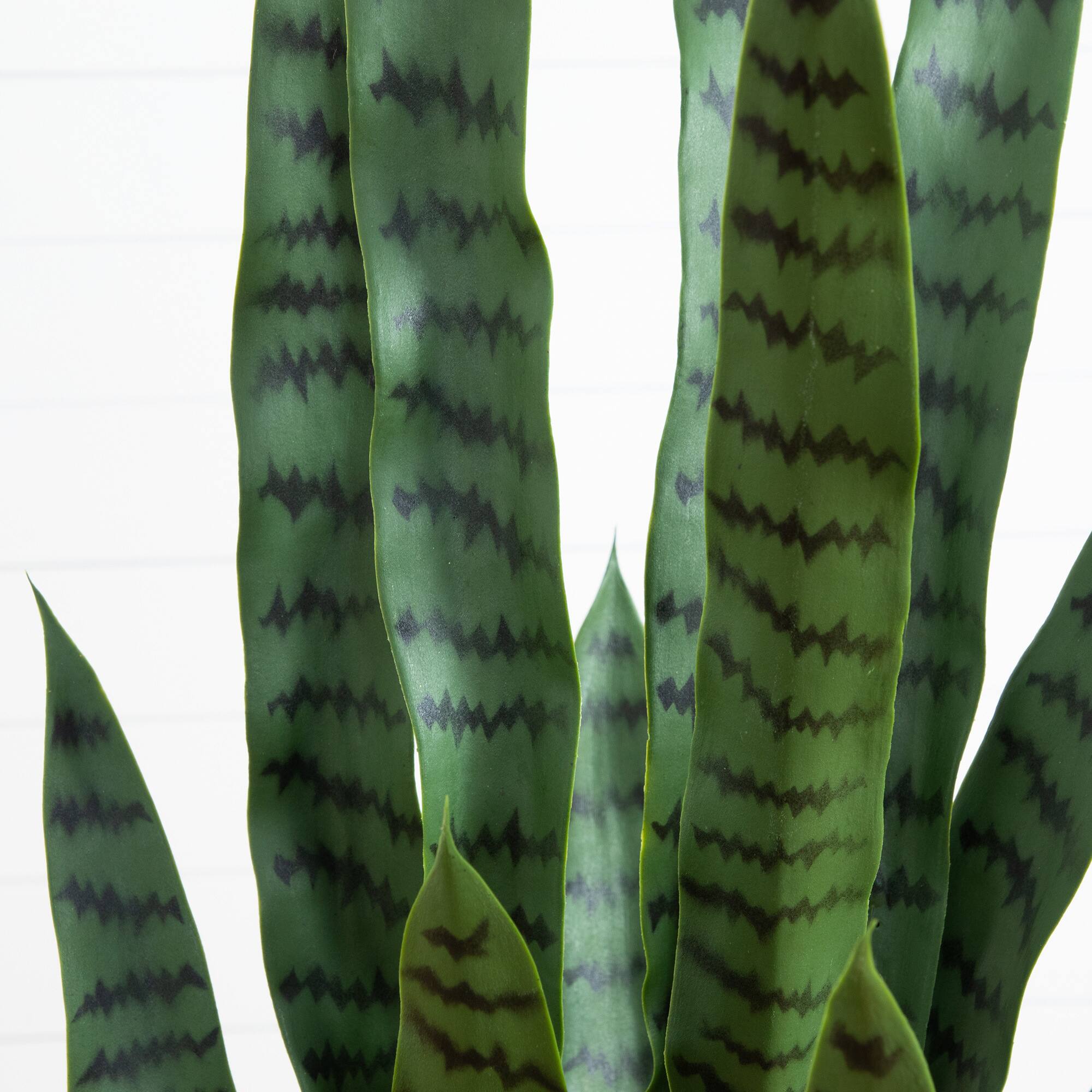 4ft. UV Resistant Artificial Snake Plant in White Decorative Planter